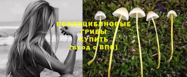 apvp Верхний Тагил