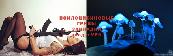 mdpv Верея