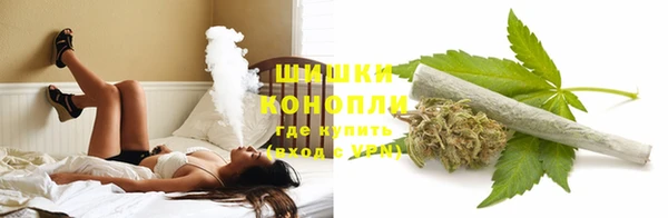 apvp Верхний Тагил