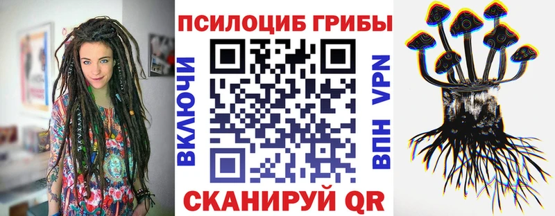 Купить закладки  Пестово  Галлюциногенные грибы прущие грибы 